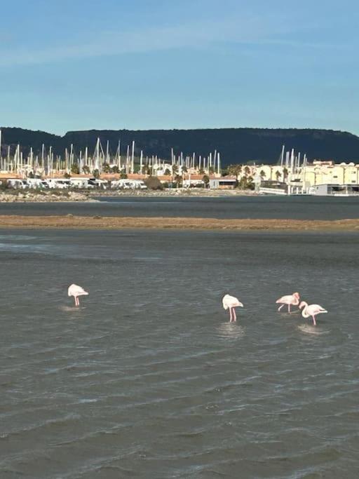 Maison Chalet 200 M De La Plage Climatisation Et Wifi Gruissan Eksteriør bilde