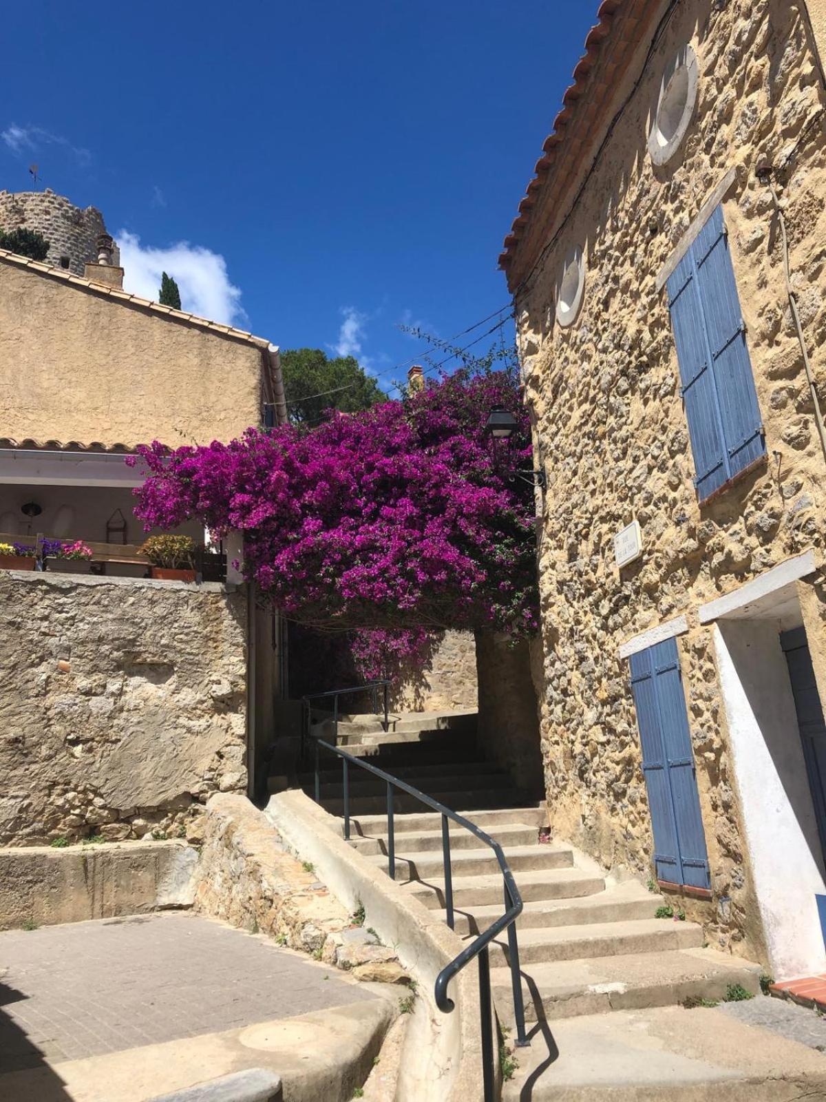 Maison Chalet 200 M De La Plage Climatisation Et Wifi Gruissan Eksteriør bilde